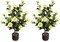 2pcs 38" Artificial Camellia Tree Flower Plant in Yellow Cement